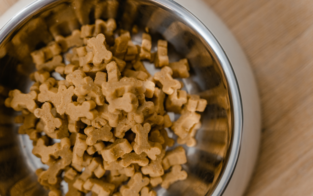 Things to Consider Before Buying a Pet Food